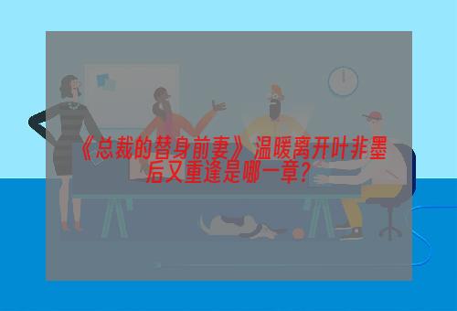 《总裁的替身前妻》 温暖离开叶非墨后又重逢是哪一章？