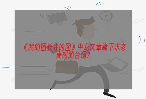 《我的团长我的团》中龙文章跪下求老麦时的台词？