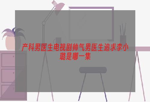 产科男医生电视剧帅气男医生追求李小璐是哪一集