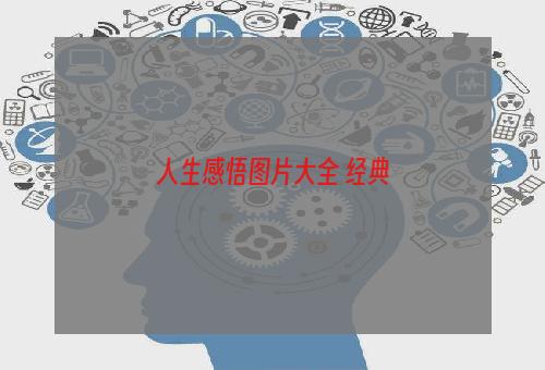 人生感悟图片大全 经典