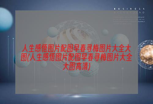 人生感悟图片配图早春寻梅图片大全大图(人生感悟图片配图早春寻梅图片大全大图高清)