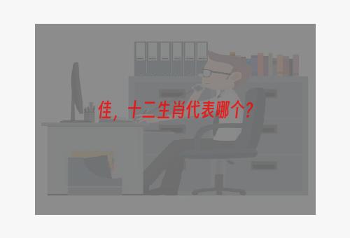 佳，十二生肖代表哪个？