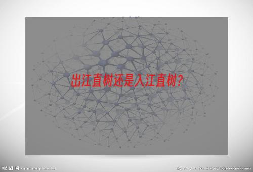 出江直树还是入江直树？