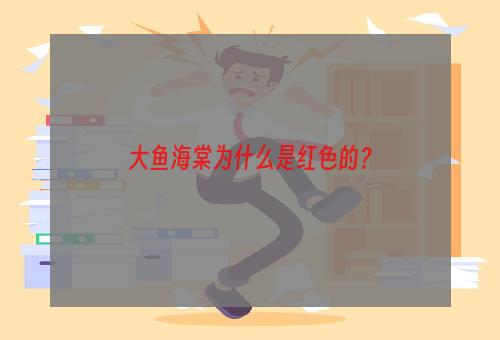 大鱼海棠为什么是红色的？