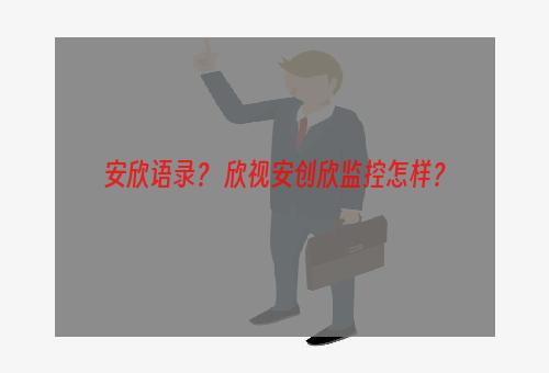 安欣语录？ 欣视安创欣监控怎样？