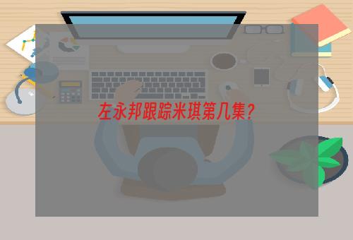 左永邦跟踪米琪第几集？