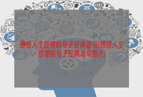 感悟人生哲理的句子经典语句(感悟人生哲理的句子经典语句图片)