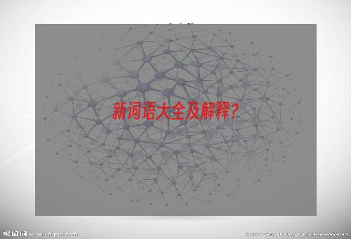 新词语大全及解释？
