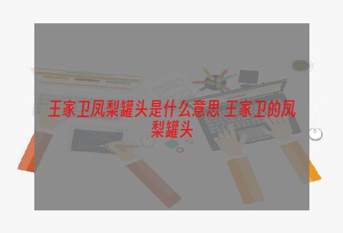 王家卫凤梨罐头是什么意思 王家卫的凤梨罐头