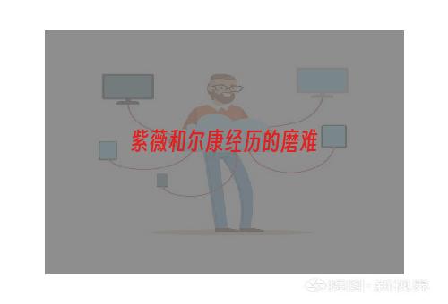 紫薇和尔康经历的磨难