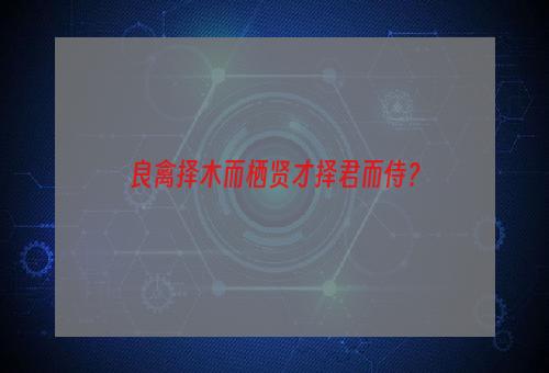 良禽择木而栖贤才择君而侍？