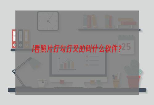 l看照片打勾打叉的叫什么软件？